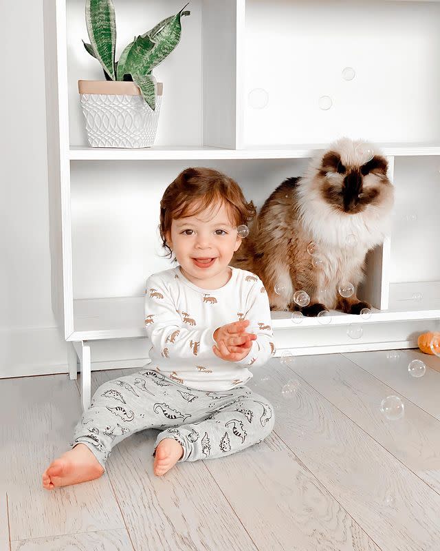 Cat sitting baby playing with bubbles
