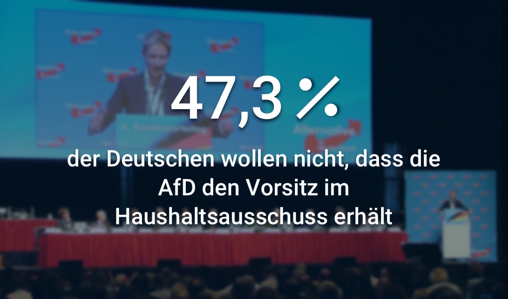 AfD Haushaltsausschuss