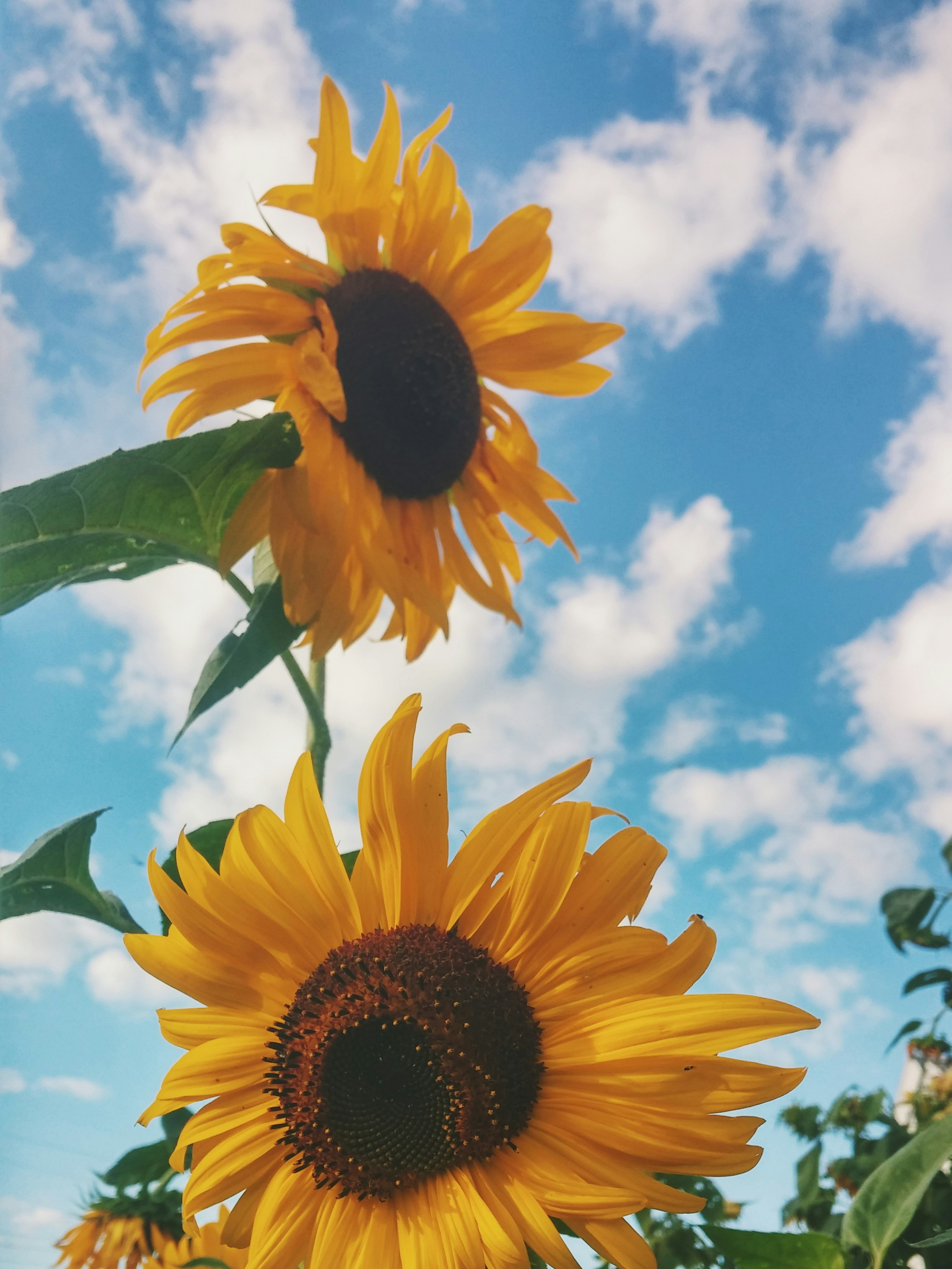 autumn-mott-rodeheaver-gCduzLmwFYM-unsplash