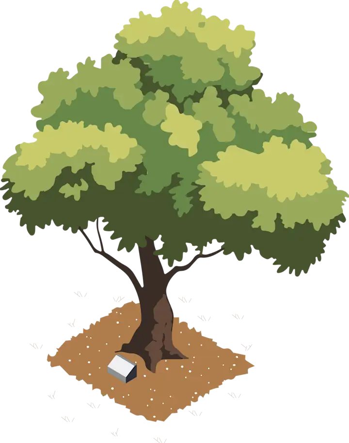 Memorial plaque beneath a tree (Illustration)
