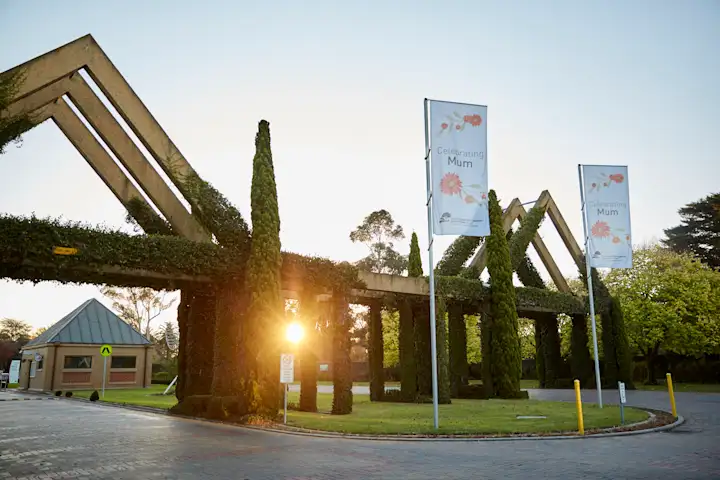 Warm dusk sunlight filtering through entry gate archway to Fawkner Memorial Park leading to gatehouse