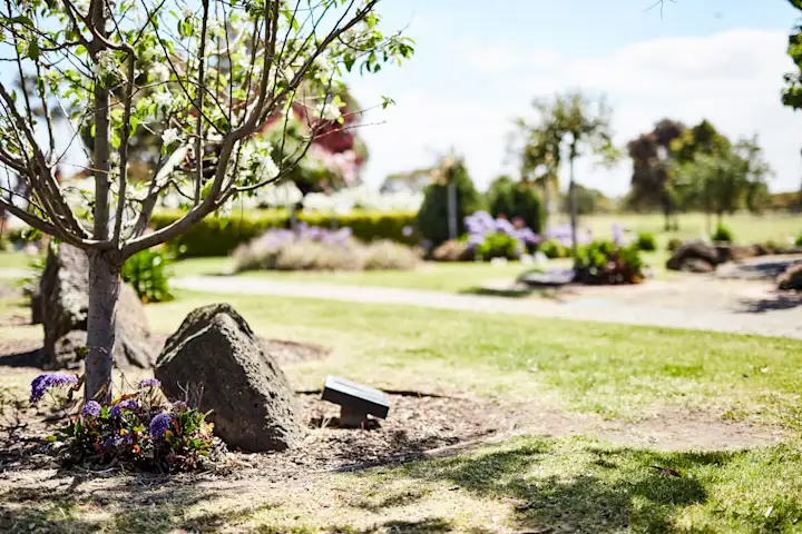 Boulder memorial with plaque in garden bed surrounded by green grass, a tree and flowers, Altona Memorial Park