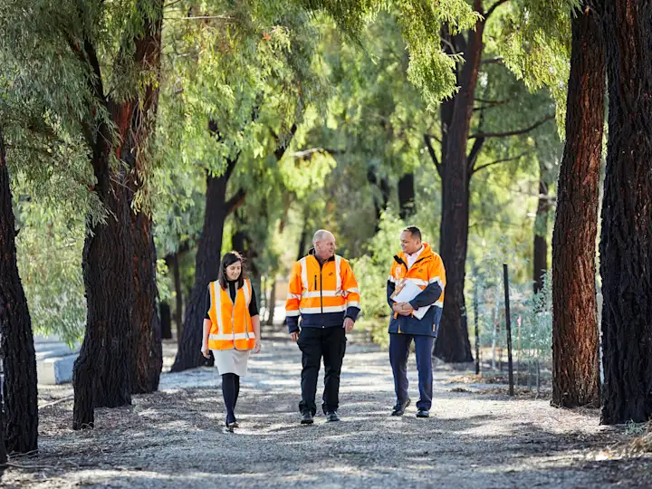 GMCT staff members wearing hi-vis, in conversation on a tree-lined road