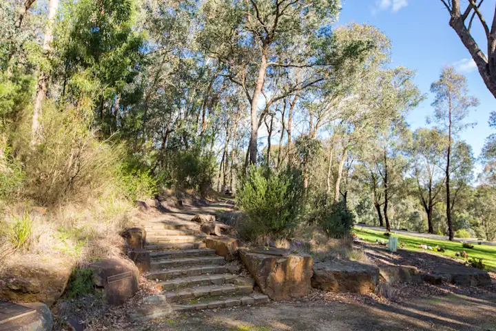 Andersons Creek Cemetery (stairs)