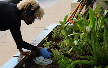 Continual Education on Sustainability