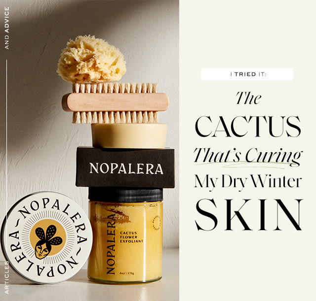 I Tried It: The Cactus That’s Curing My Dry Winter Skin