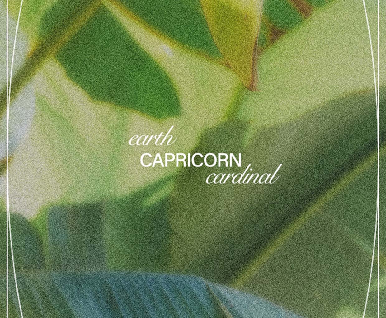 welcome to capricorn season