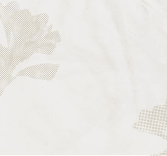 Blank Image For Background Color