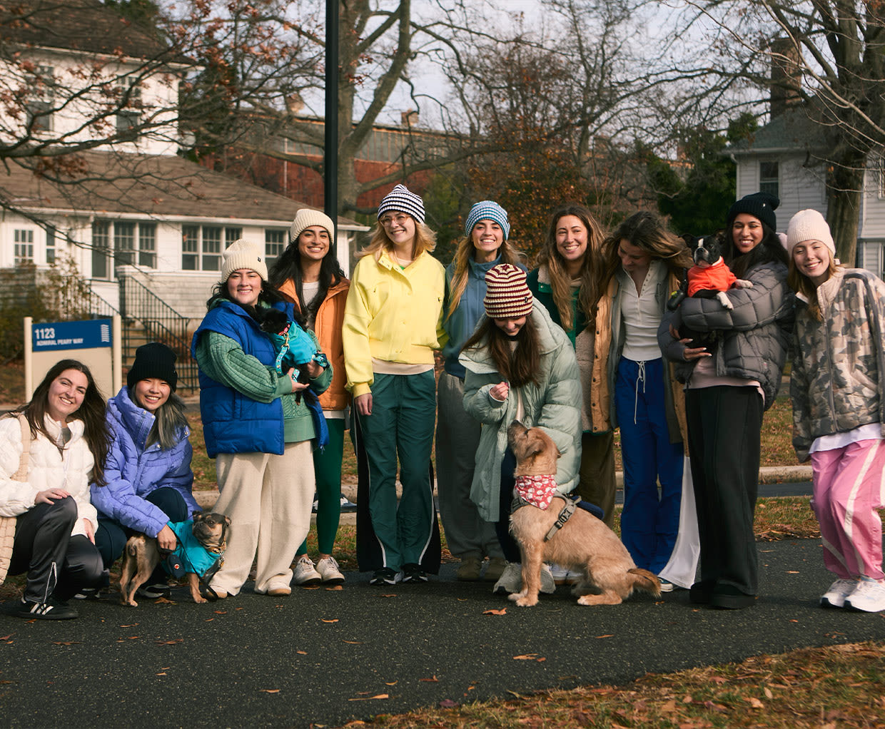 fp movement dog walking