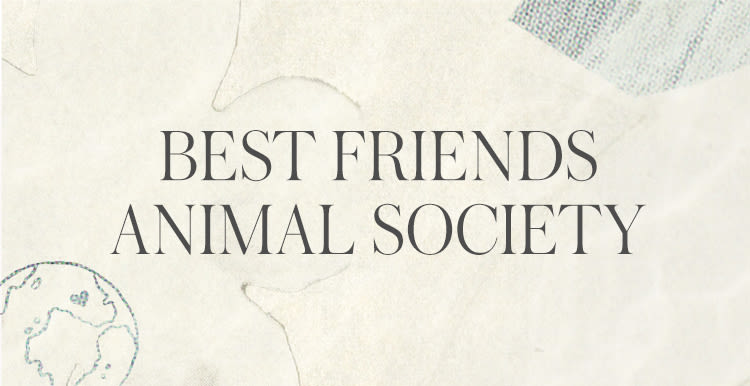 Free People x Best Friends Animal Society