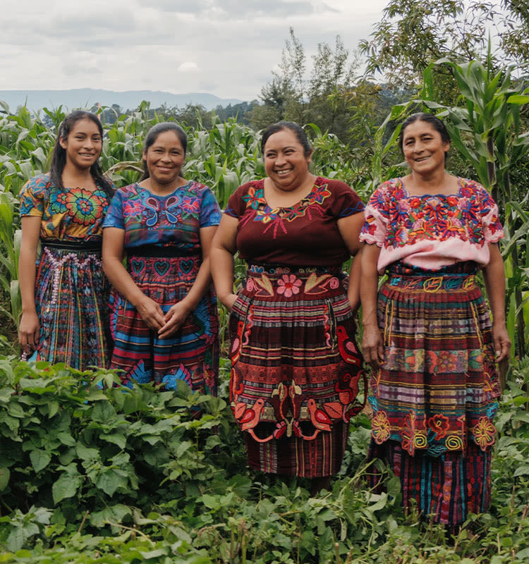 Four women in colorful traditional clothing standing in a green cornfield with mountains in the background.