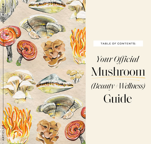Your Official Mushroom (Beauty + Wellness) Guide