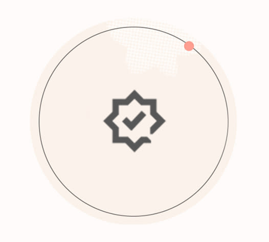 Success icon.