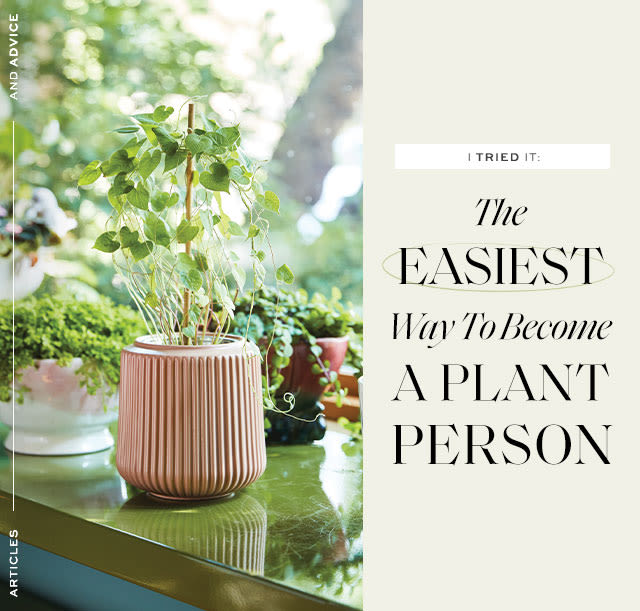 I Tried It: The Easiest Way To Become A Plant Person Having a green thumb is simpler than you thought…