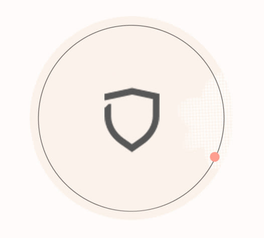 Protection icon.
