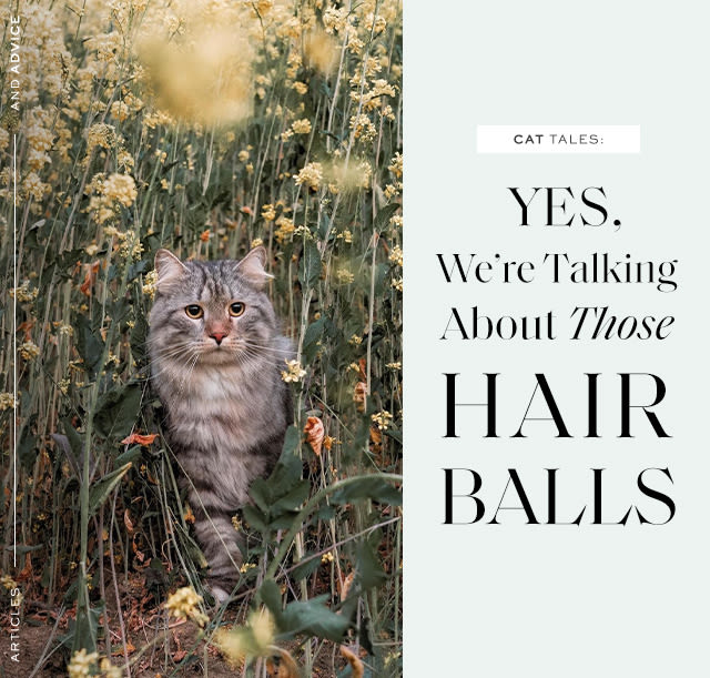 Cat Tales: Yes, We’re Talking About THOSE Hairballs