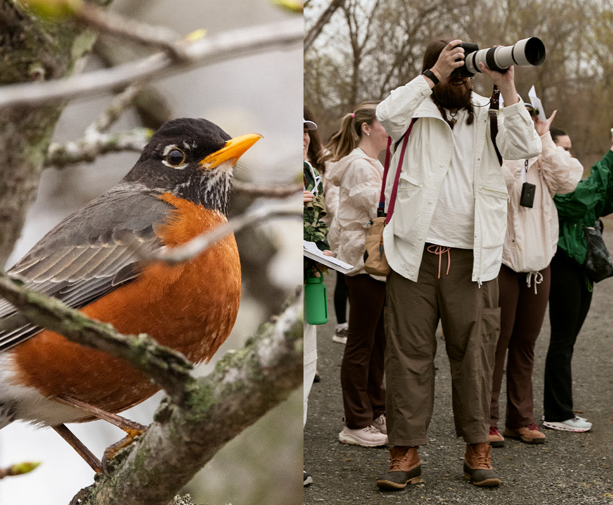 FP Movement: Birdwatching