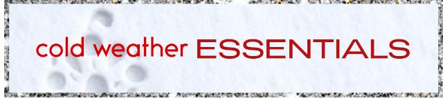 Cold Weather Essentials