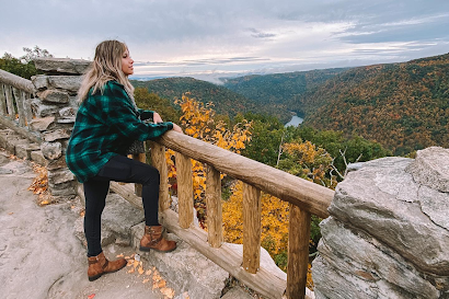 Person looking at fall scenery at Coopers Rock overlook.