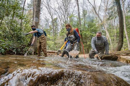 Professor and students conducting stream survey