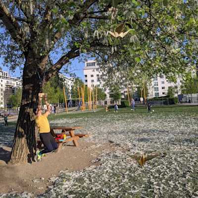 Me hanging from the fingerboard in a park