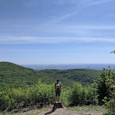 Me standing on a stump, looking the city