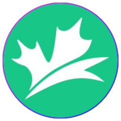Car Loans Canada