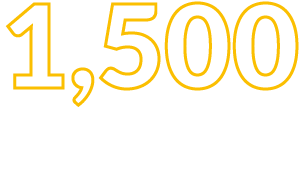 1500 Entries
