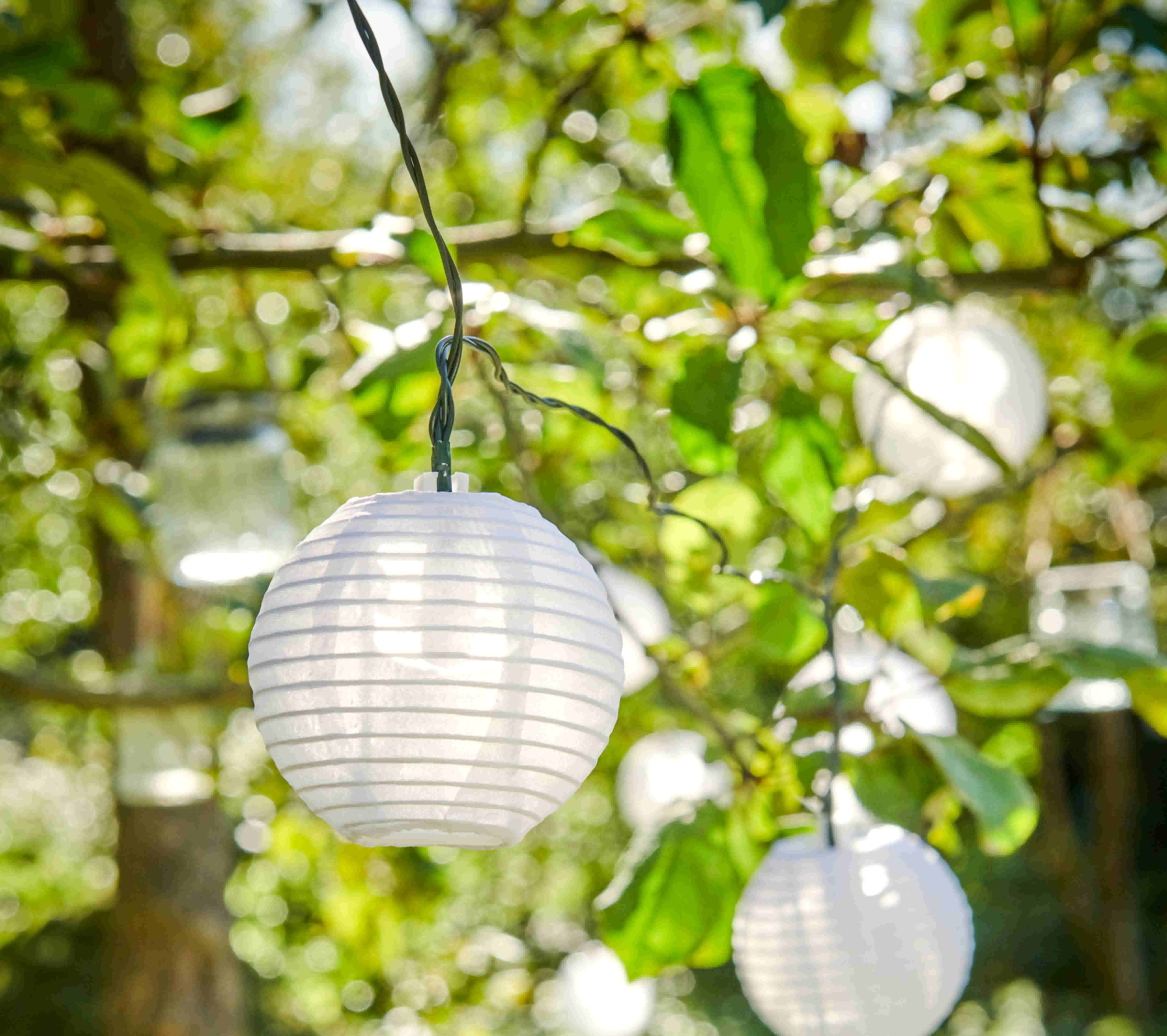Witte ronde lampionnen hangend in een boom