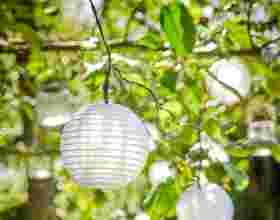 Witte ronde lampionnen hangend in een boom