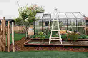 DIY: Klimrek voor je planten maken | Karwei