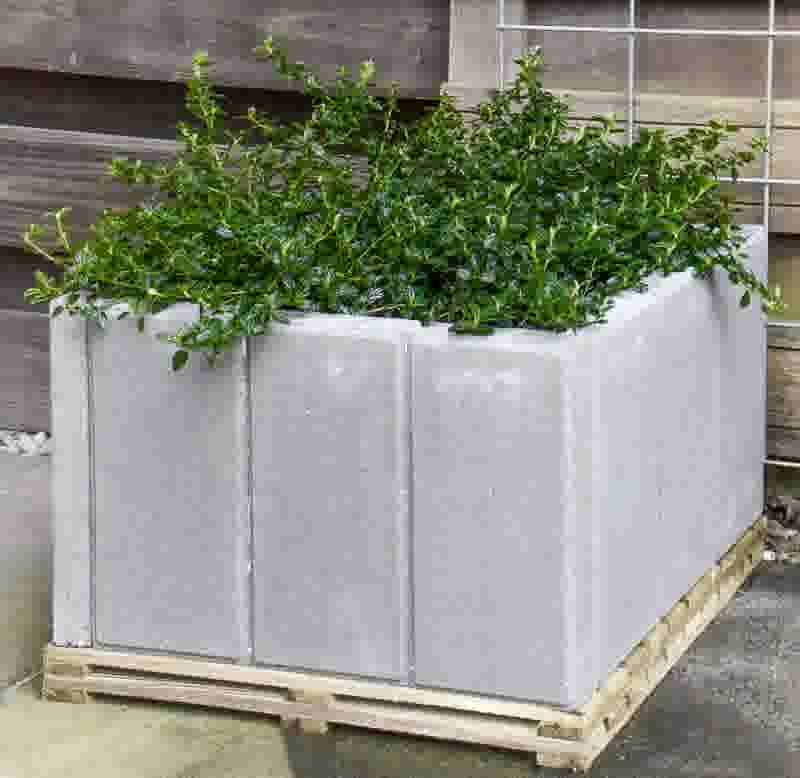 plantenbak-beton-colse-up-4-800x778