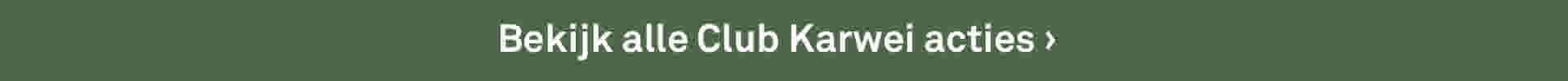 Bekijk alle Club Karwei acties