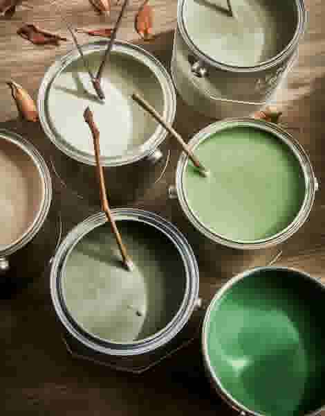Potten met verschillende tinten groene verf