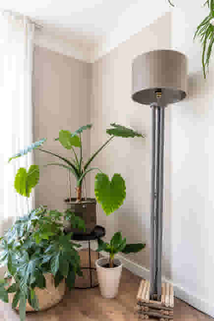 Hoek in woonkamer met drie planten en een lamp
