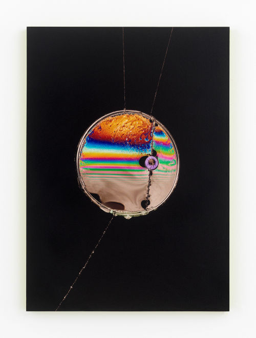 Hannah Whitaker
Lens, 2020
UV printed onto MDF with hand painted edges
21 x 15 inches
53.3 x 38.1 cm