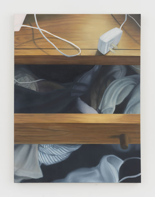 Cait Porter
Dresser Drawers, 2021
Oil on canvas
40 x 30 inches
101.6 x 76.2 cm