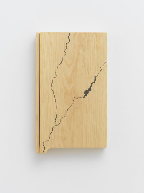 Francis Cape
Ten Mile River Cabinet Model, 2020
White pine, plywood, paint
17.75 x 10.5 x 2 inches
45.1 x 26.7 x 5.1 cm
