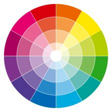 A color wheel including shades of red, orange, yellow, green, blue and violet.