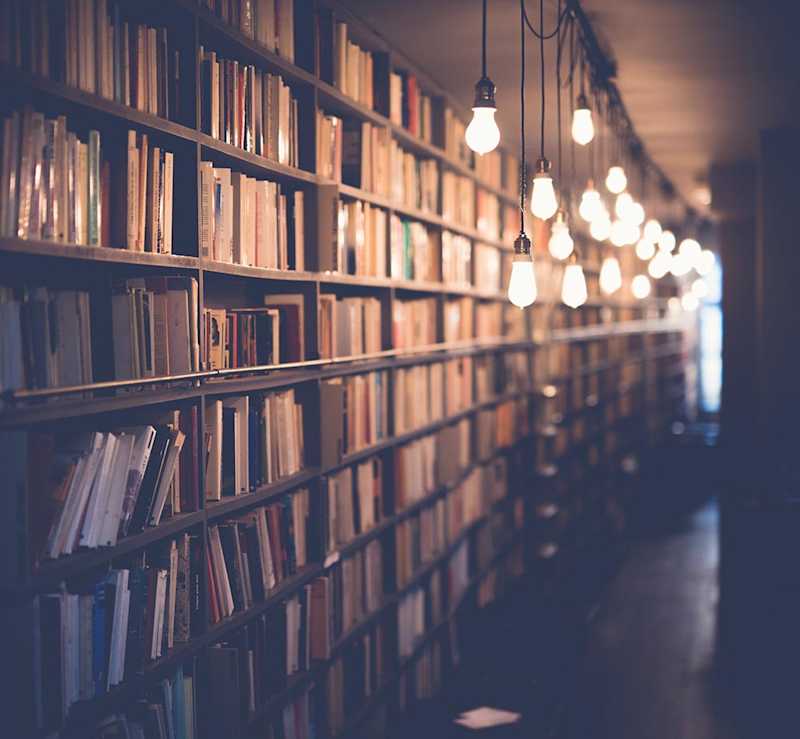 bookshelf with path of lightbulbs leading down the row