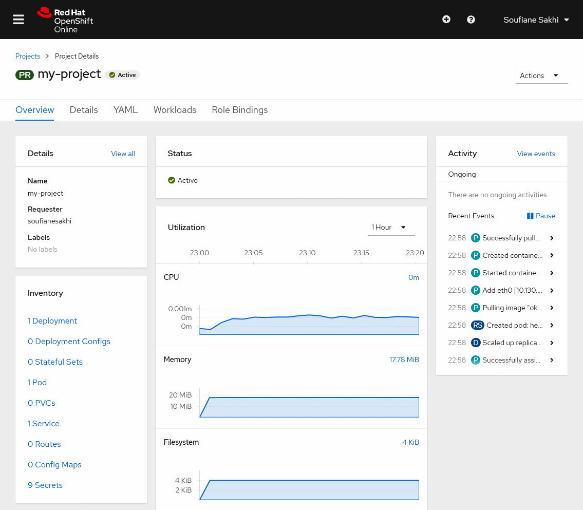 OpenShift Online - 10. Deployed project dashboard