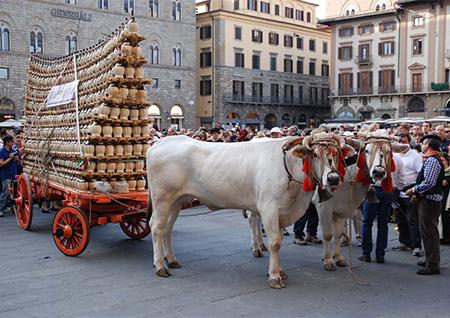 What to do in florence italy in september