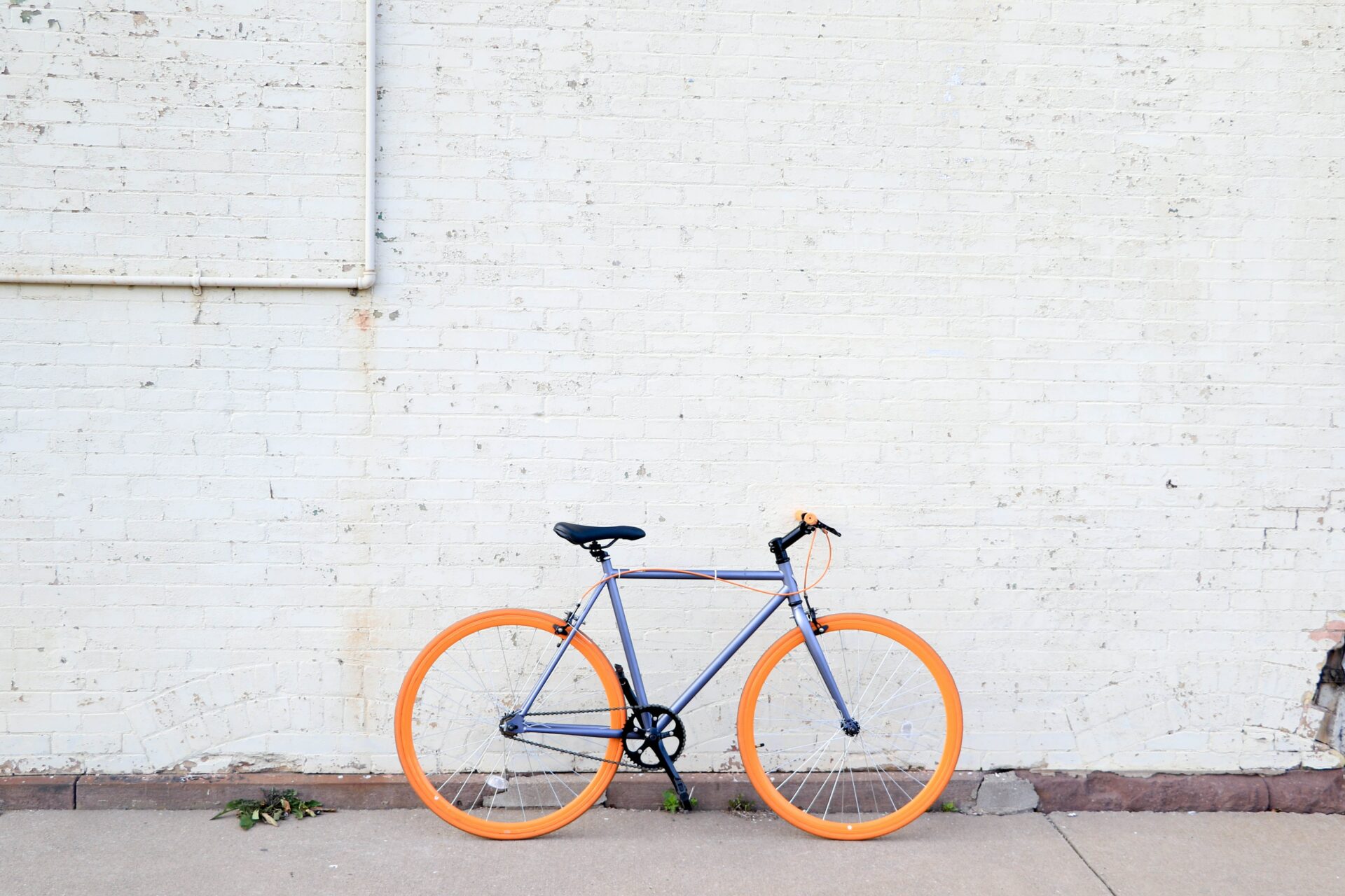 sustainable travel trends