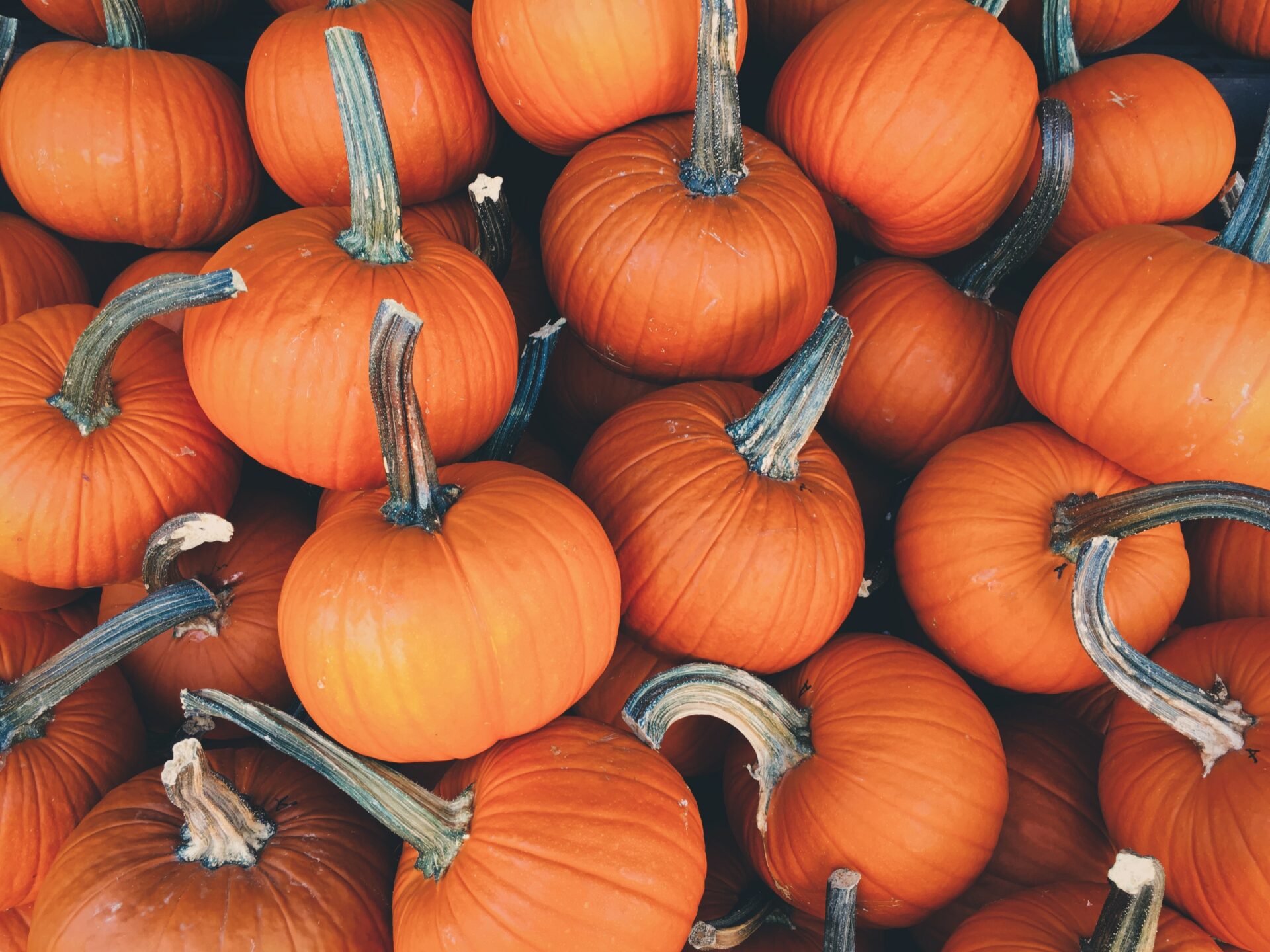things to do in rome in october