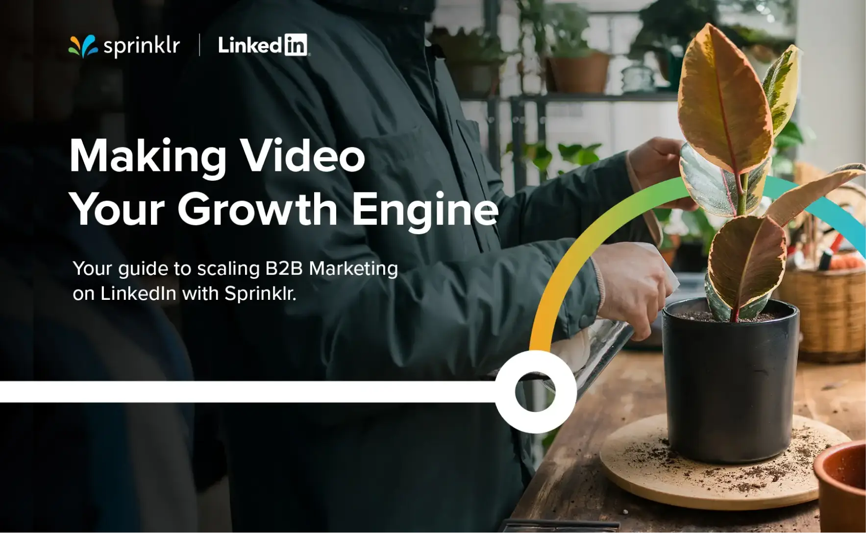 video-as-growth-engine