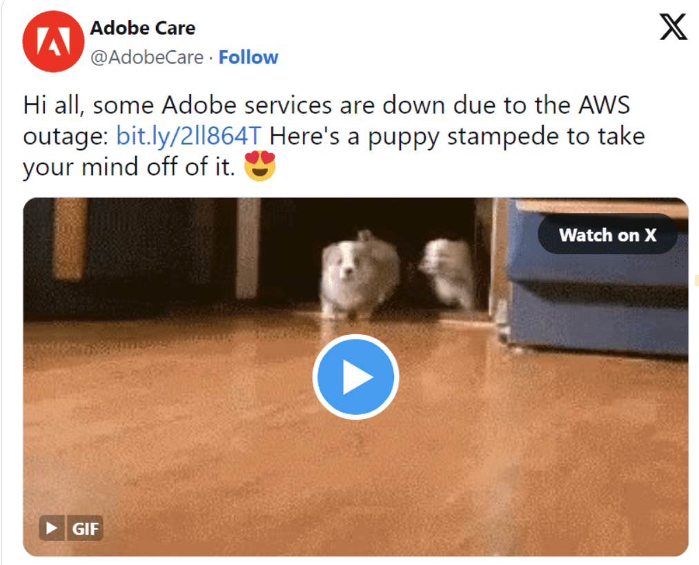 Adobe informing its customers about technical issues with a puppy video