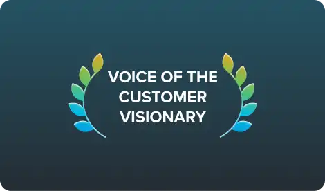 VoC Visionary