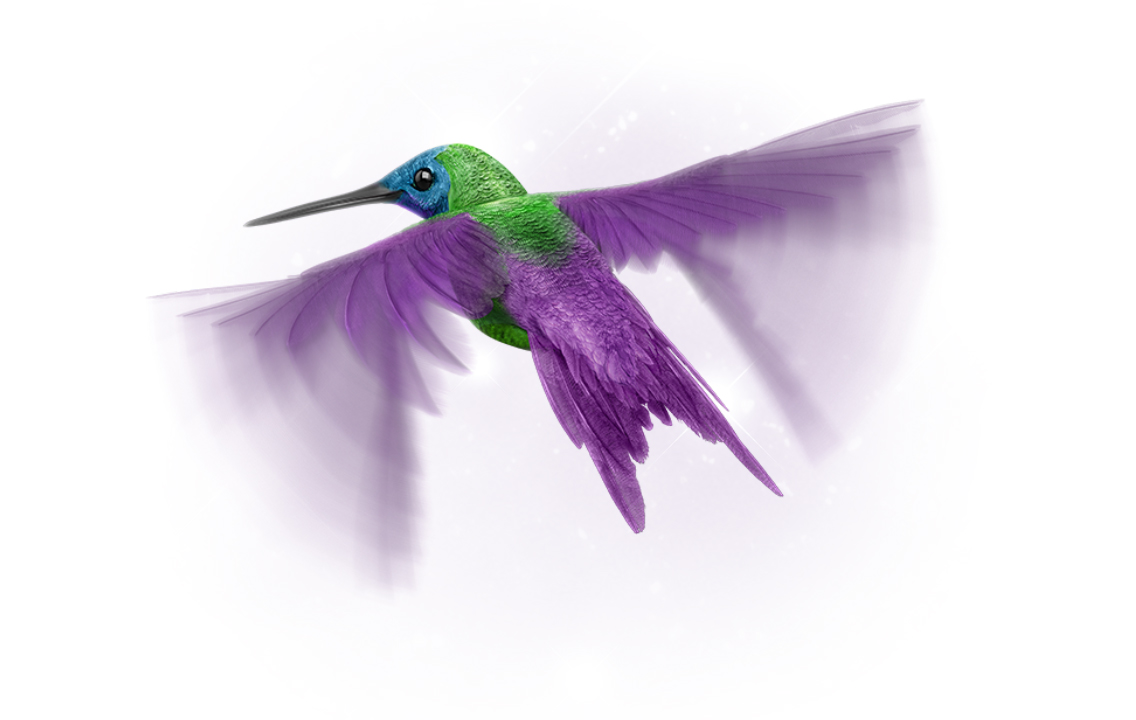 TELUS-BoPF-imageD