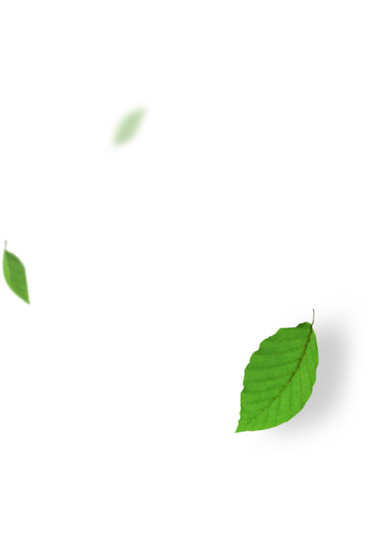 TELUS-DP-imageH