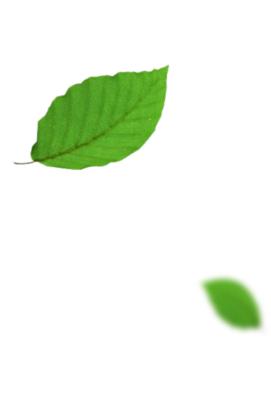 TELUS-DP-imageD